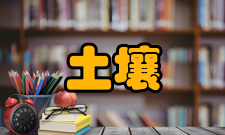 土壤学报人员编制