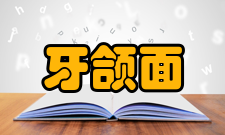 牙颌面畸形分类1