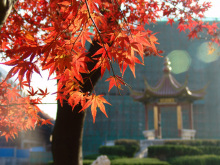 南京航空航天大学学术资源