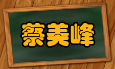 蔡美峰人物评价