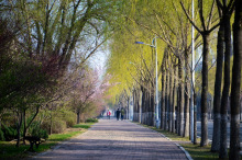 东北农业大学历史沿革