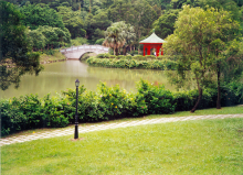 香港中文大学崇基学院校湖