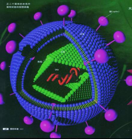 基因工程发展80年代中期以来