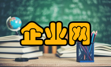 企业网引导策略