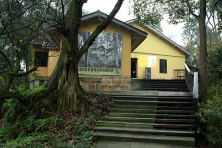 重庆抗战遗址博物馆场馆特色