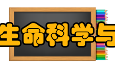 中国科学院生命科学与生物技术局主要职能