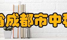 四川省成都市中和中学教师成绩