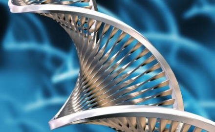 系统生物工程发展20世纪未