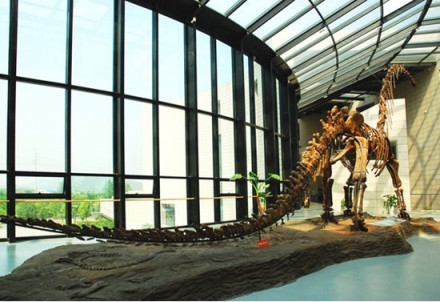 中国矿业大学社会评价