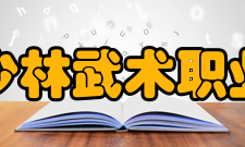 嵩山少林武术职业学院科研平台