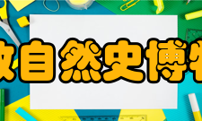 伦敦自然史博物馆馆藏文物