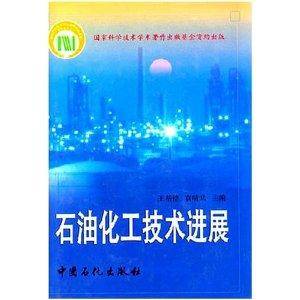 袁晴棠出版图书石油化工技术进展