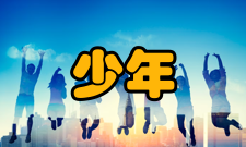 少年儿童研究人员编制