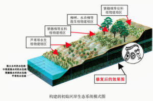 国家环境保护湿地生态与植被恢复重点实验室景观生态设计与植被恢复技术方向