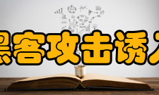黑客攻击诱入法