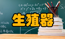 上行感染治疗外生殖器感染