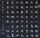 广东省书法家协会书代会举行