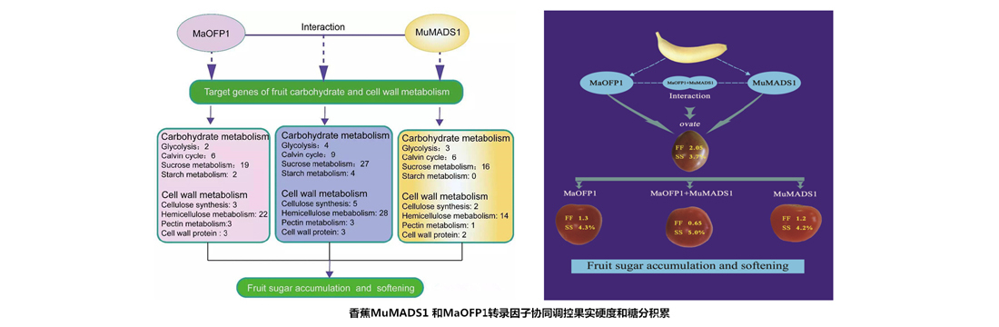 热带生物技术研究所科研成果