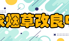 国家烟草改良中心人才团队中心现有人员28人