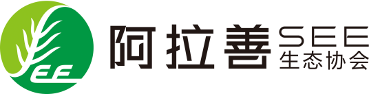 阿拉善SEE生态协会获得荣誉