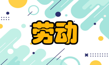 劳动教育（八）健全劳动素养评价制度