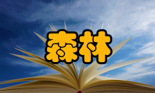 森林工程栏目方向