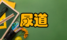 尿道狭窄非手术治疗