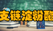 支链淀粉酶