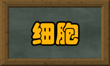 细胞工程细胞融合工程细胞融合是指用自然或人工的方法
