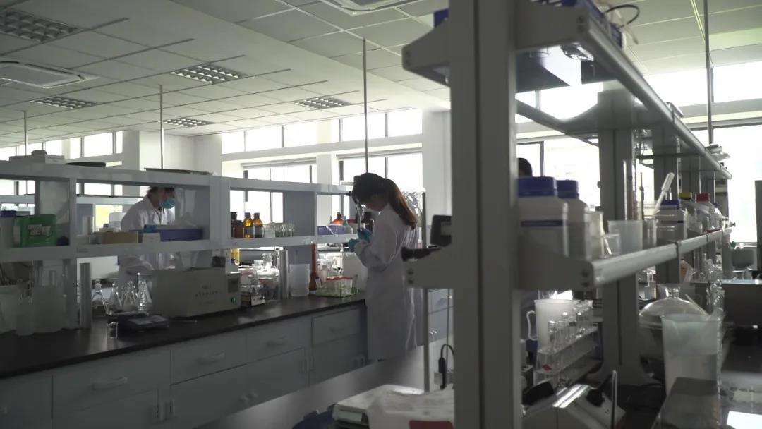 江南大学纺织科学与工程学院教学建设