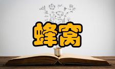 蜂窝移动通信概念介绍