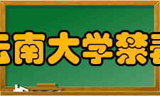 云南大学禁毒防艾研究与援助中心科研成就