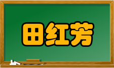 田红芳人物经历