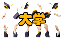 大学英语教师专业发展状况实证研究内容简介