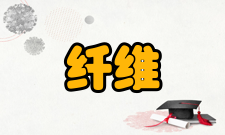 纤维鼻咽喉镜检查麻醉和体位