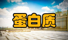 蛋白质工程结构分析