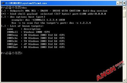 域名系统新顶级域名