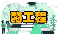 酶工程原理酶工程就是将酶或者微生物细胞