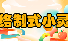 网络制式小灵通