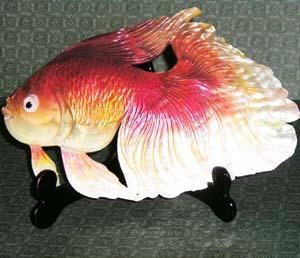 青岛贝雕艺术馆企业介绍