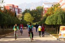 青岛职业技术学院教学建设