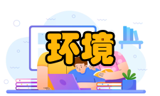 环境文学体裁形式