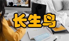 长生鸟古城来历