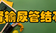 肾及输尿管结石症状体征