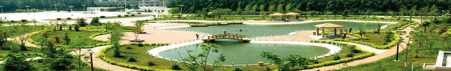 绥化学院历史沿革