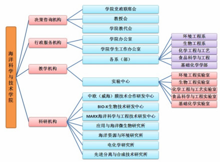 海洋科学与技术学院组织机构