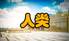 人类理解研究作品目录