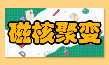 磁约束核聚变国家实验室科研领域