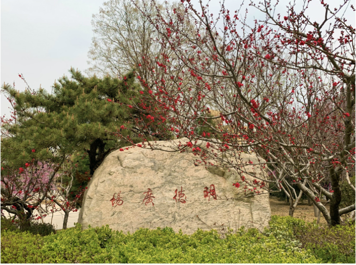 山东现代学院师资力量