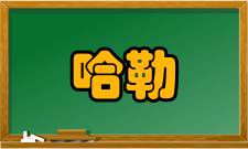 哈勒维腾贝格大学交换项目